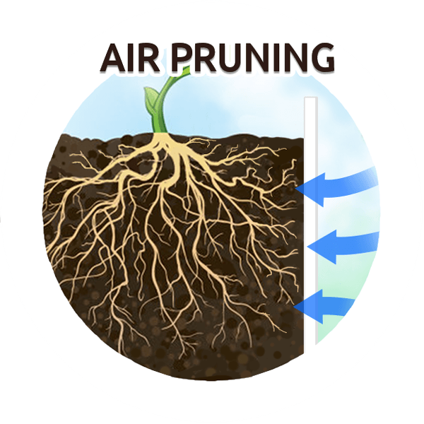 BIOGROW BREATHABLE GROW BAGS