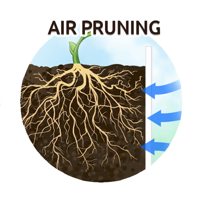 BIOGROW BREATHABLE GROW BAGS