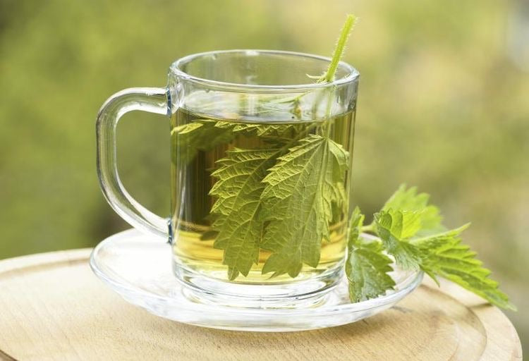 Nettle Leaf Tea