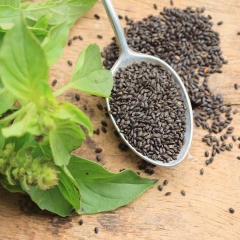 BASIL SEEDS BaBri Boel