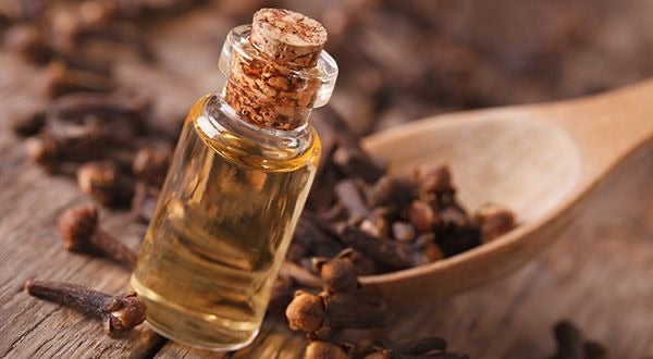 CLOVE OIL